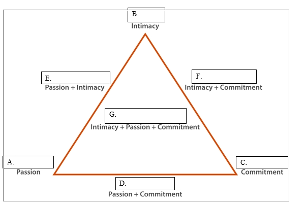 A.
Passion
E.
Passion + Intimacy
B.
Intimacy
F.
Intimacy + Commitment
G.
Intimacy + Passion + Commitment
D.
Passion + Commitment
C.
Commitment