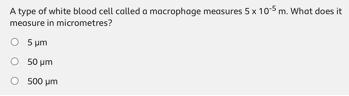 A type of white blood cell called a macrophage measures 5 x 10-5 m. What does it
measure in micrometres?
○ 5 μm
50 μm
О
500 μm