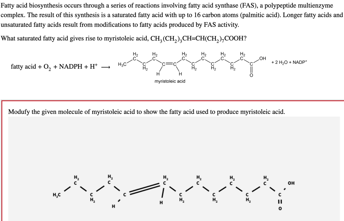 Fatty acid biosynthesis occurs through a series of reactions involving fatty acid synthase (FAS), a polypeptide multienzyme
complex. The result of this synthesis is a saturated fatty acid with up to 16 carbon atoms (palmitic acid). Longer fatty acids and
unsaturated fatty acids result from modifications to fatty acids produced by FAS activity.
What saturated fatty acid gives rise to myristoleic acid, CH3(CH2)3CH=CH(CH2),COOH?
H₂
H₂
OH
པཱལིནཊྛདྡྷིསཏྟཔཱཎཱསིངྒཱརཨིནྡྷནཾ ཀིཾསུ
fatty acid + O2 + NADPH + H+
H3C
H
H
myristoleic acid
+ 2 H2O + NADP+
Modufy the given molecule of myristoleic acid to show the fatty acid used to produce myristoleic acid.
H₁C
||
Н
H
OH