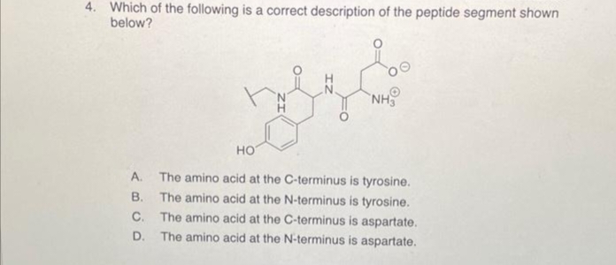 4. Which of the following is a correct description of the peptide segment shown
below?
NH3
HO
A.
B.
The amino acid at the C-terminus is tyrosine.
The amino acid at the N-terminus is tyrosine.
C. The amino acid at the C-terminus is aspartate.
D. The amino acid at the N-terminus is aspartate.